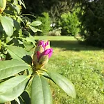 Idas Garten * Bad Lauterberg