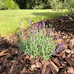 度假居 Idas Garten