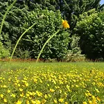 度假居 Idas Garten