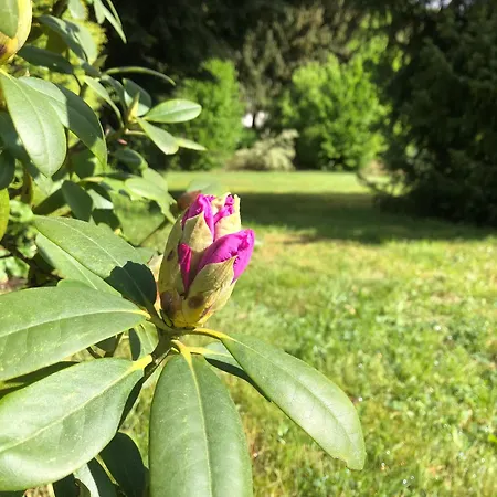 Idas Garten * באד לאוטרברג