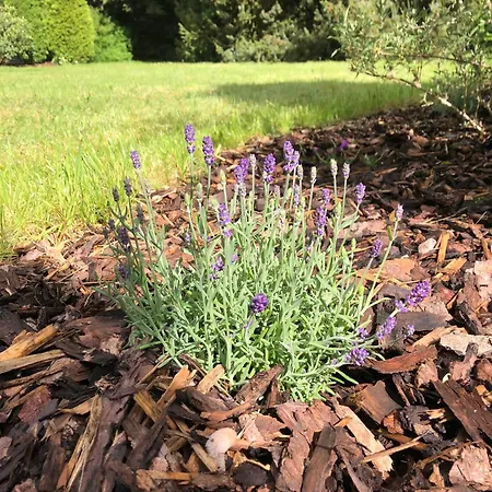 בית נופש Idas Garten