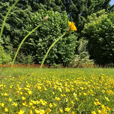 בית נופש Idas Garten