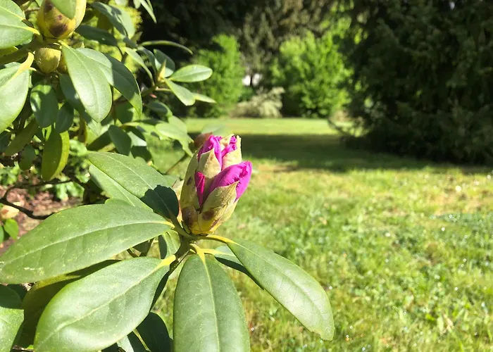 Idas Garten * Bad Lauterberg